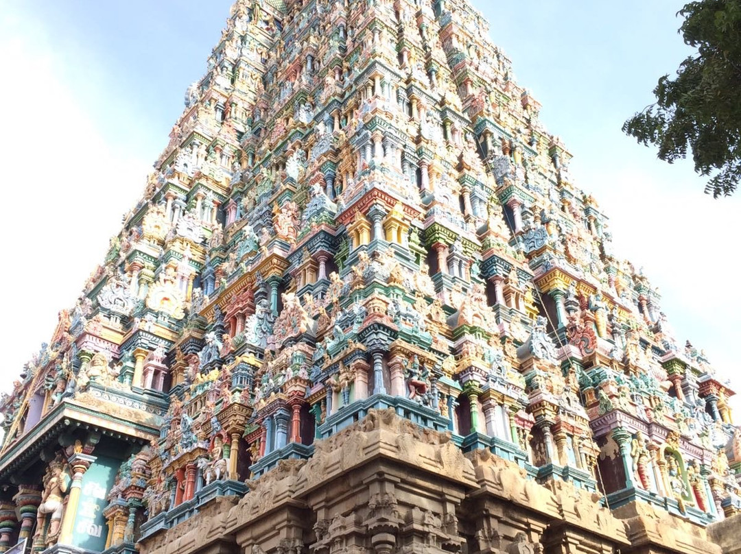 Total Tours India景点图片
