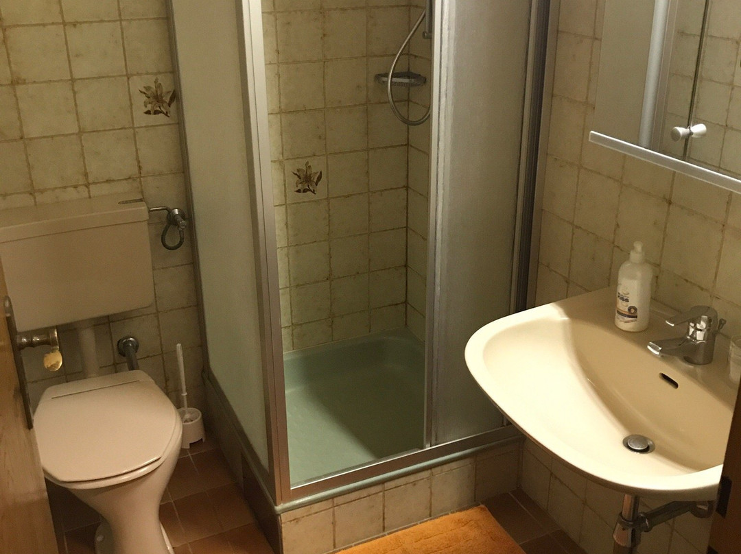 Weinbauer Pension Linz主图