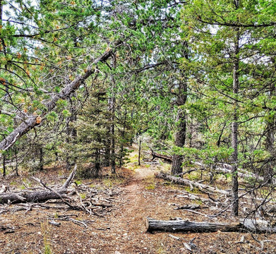 Hyde Memorial State Park-圣菲必去景点