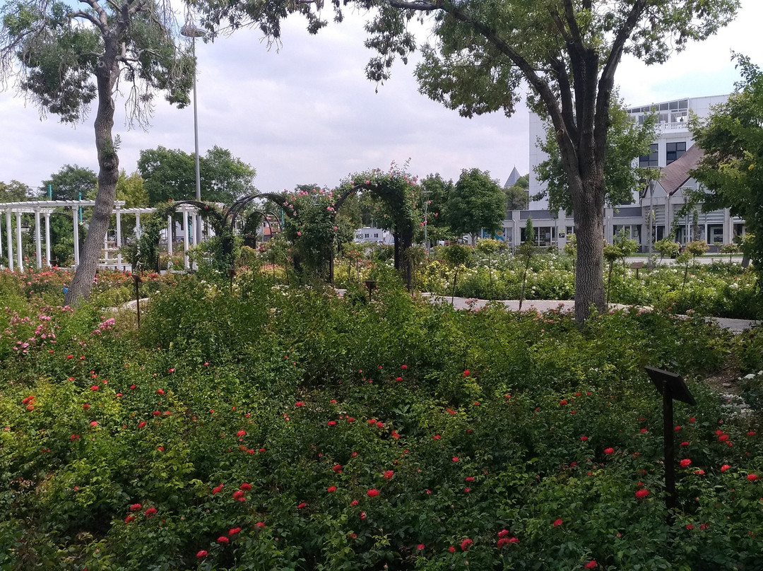 Kultur Park-科尼亚必去景点