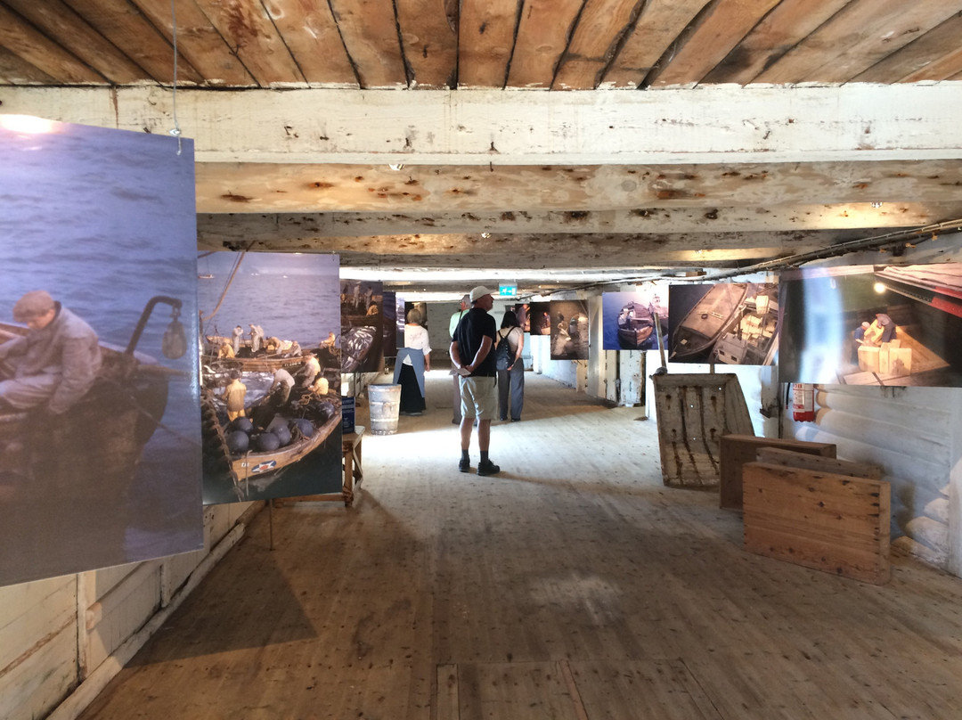 Norwegian Klippfiskmuseum - Milnbrygga景点图片
