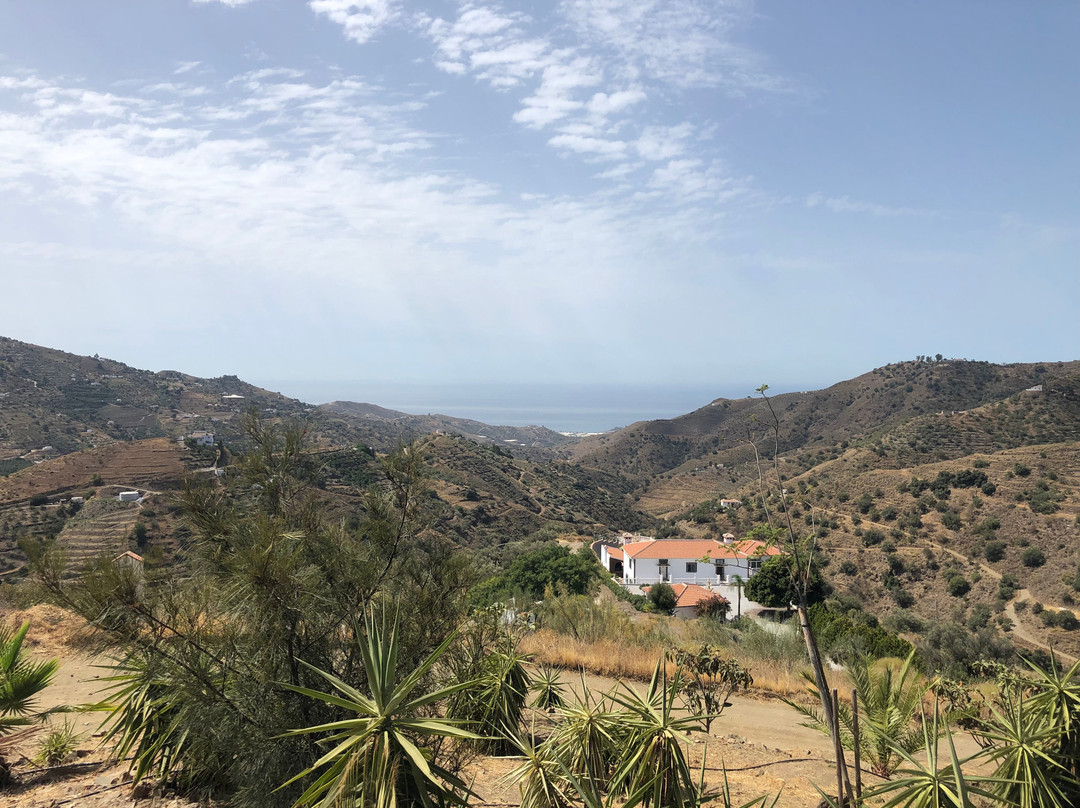 Casa Los Dos bed & breakfast主图