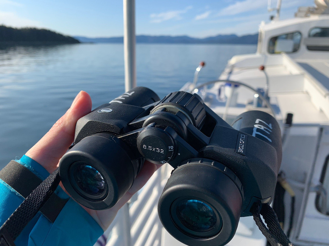 Cross Sound Express Whale Watching-古斯塔夫斯必去景点