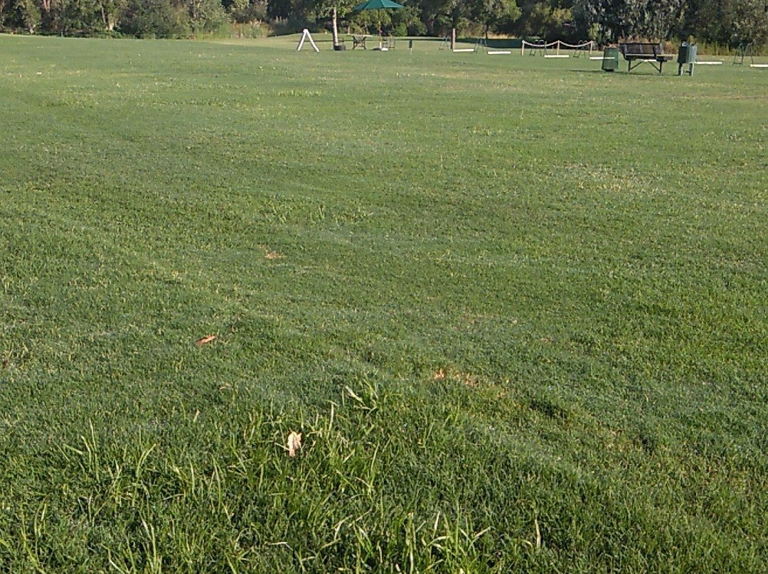 Teal Bend Golf Club-沙加缅度必去景点