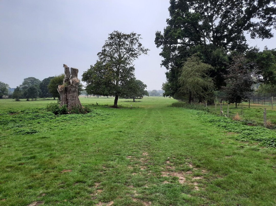 Wansford To Sutton Nene Way Walk景点图片