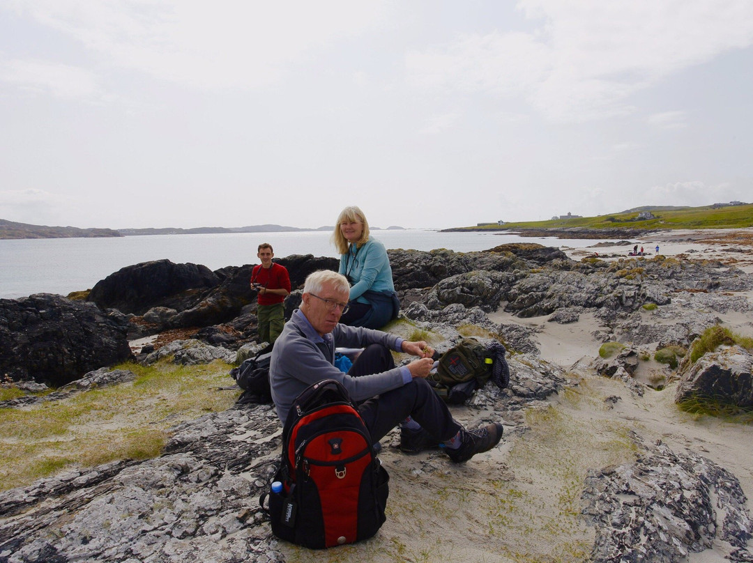 Mull Magic Wildlife - Day Tours-Tobermory必去景点
