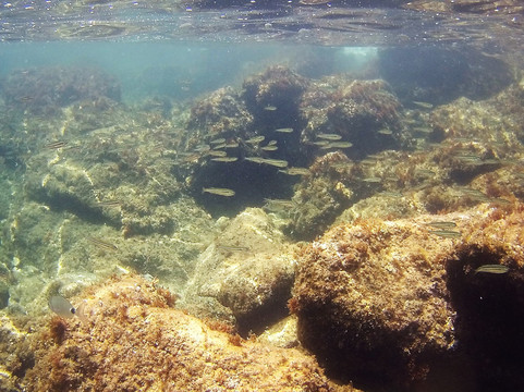 Plage du Capelan-邦多勒必去景点