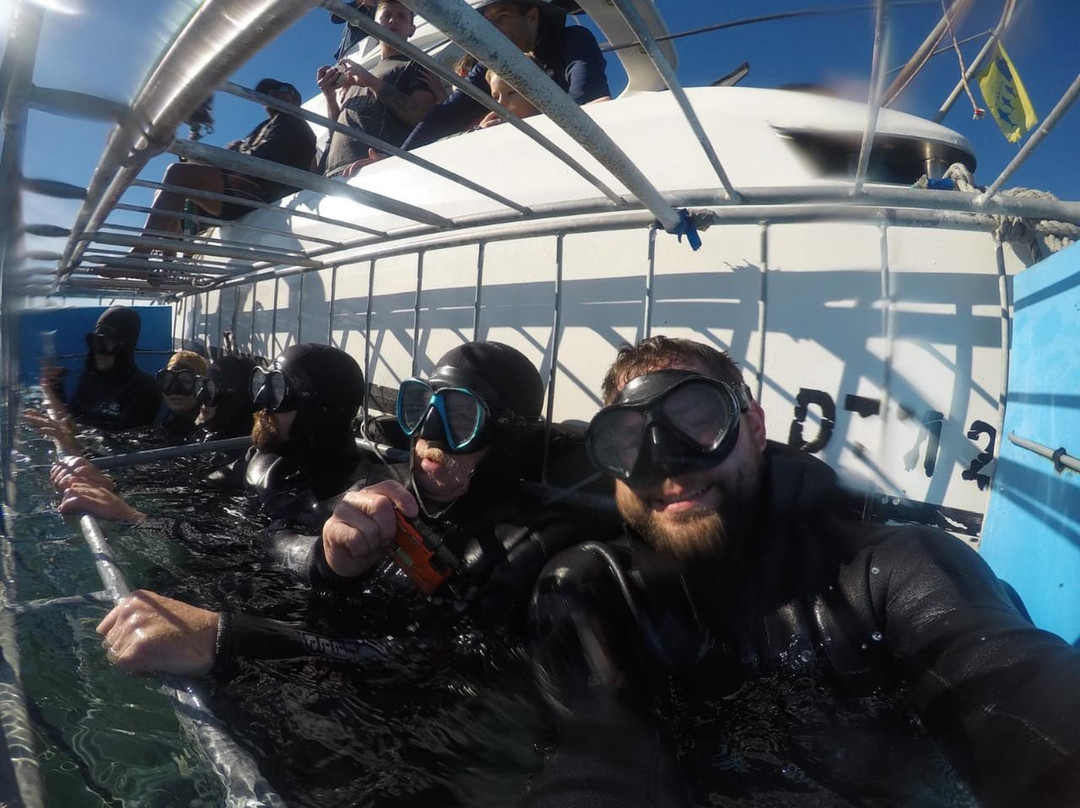 Wildly Africa-格拉罕镇必去景点