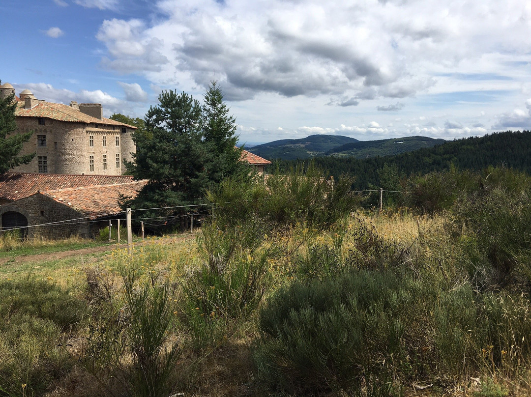 Chateau de Maisonseule-Saint-Basile必去景点