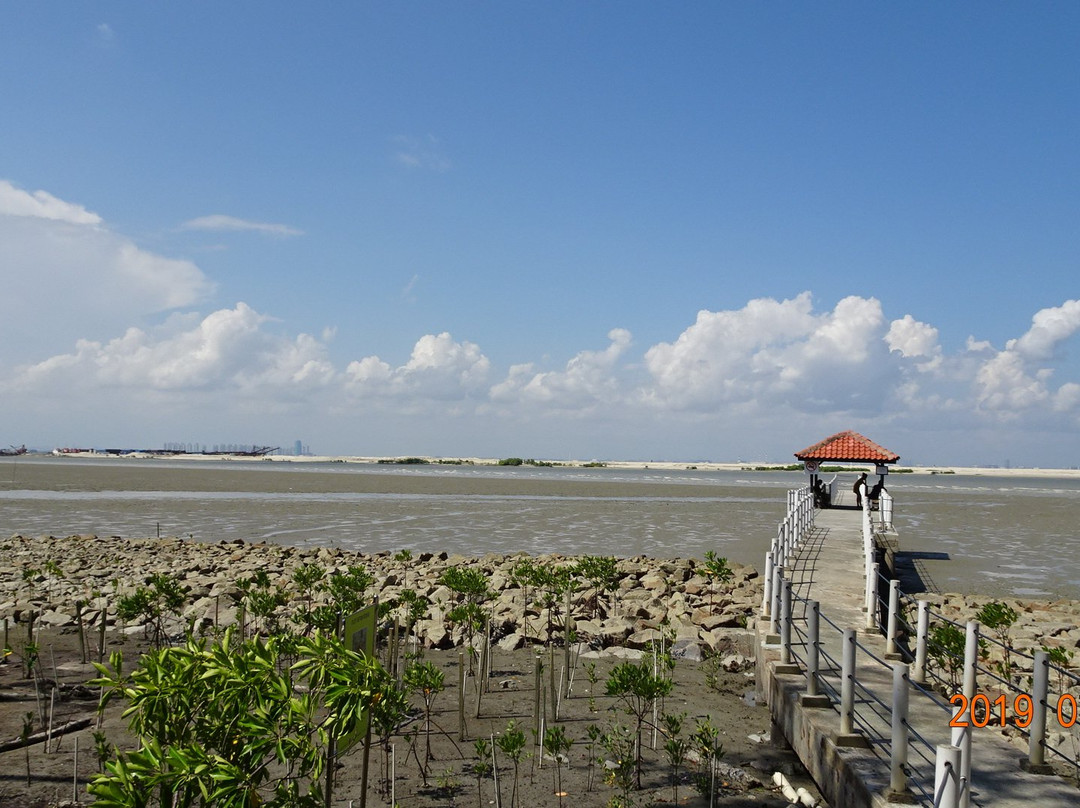 Pantai Tanjung Piai-巴生必去景点