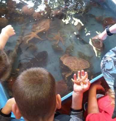 Burford Lodge Guest House主图