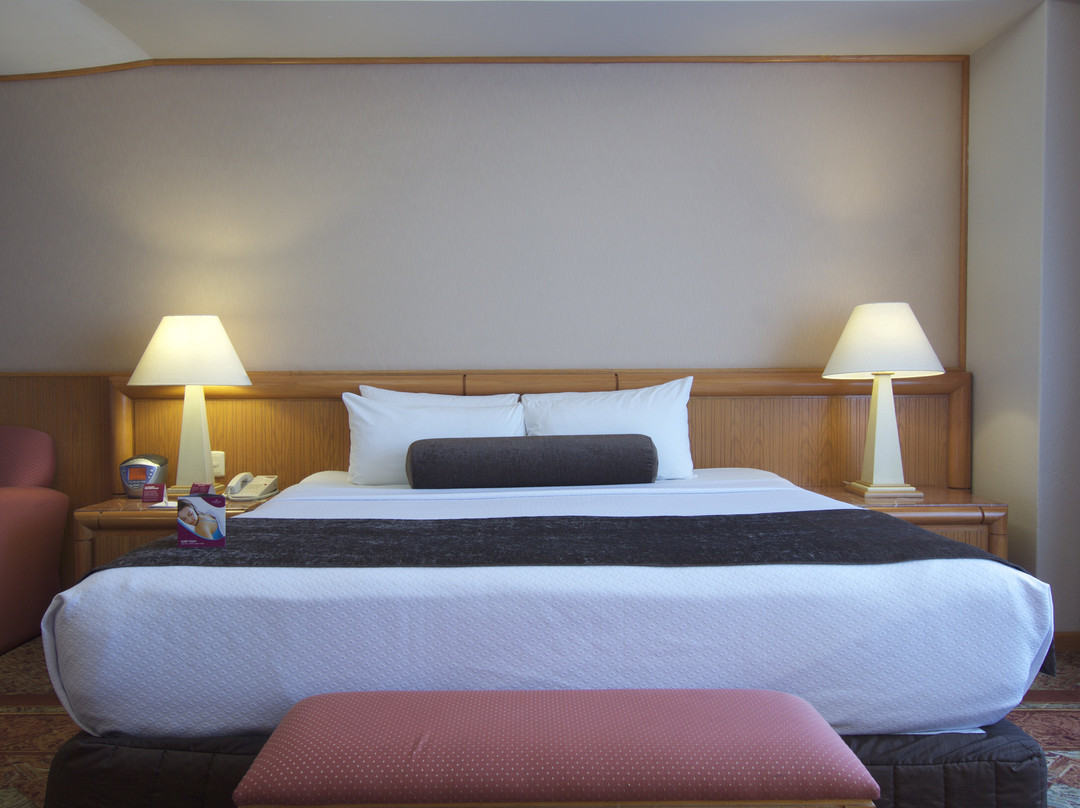 Crowne Plaza Mexico Norte Tlalnepantla by IHG主图