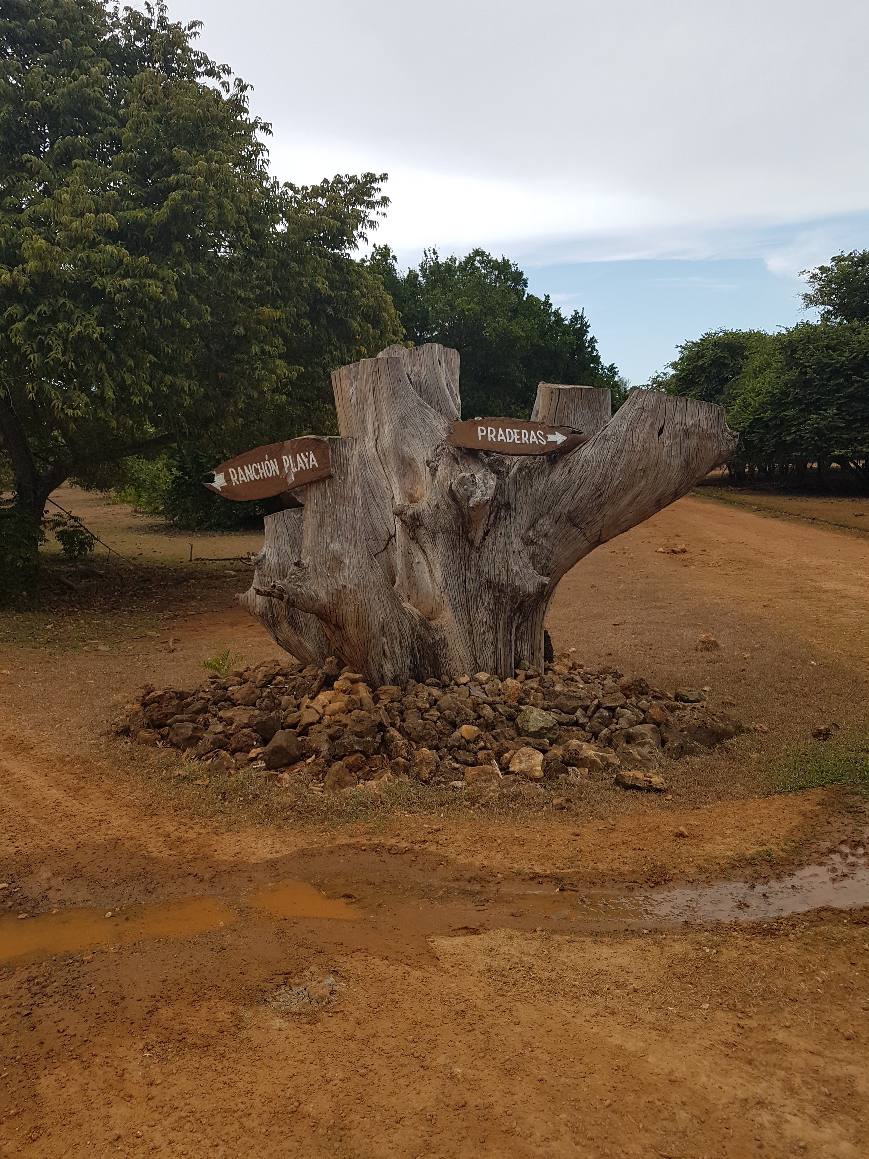 Villa Cayo Saetia-官方