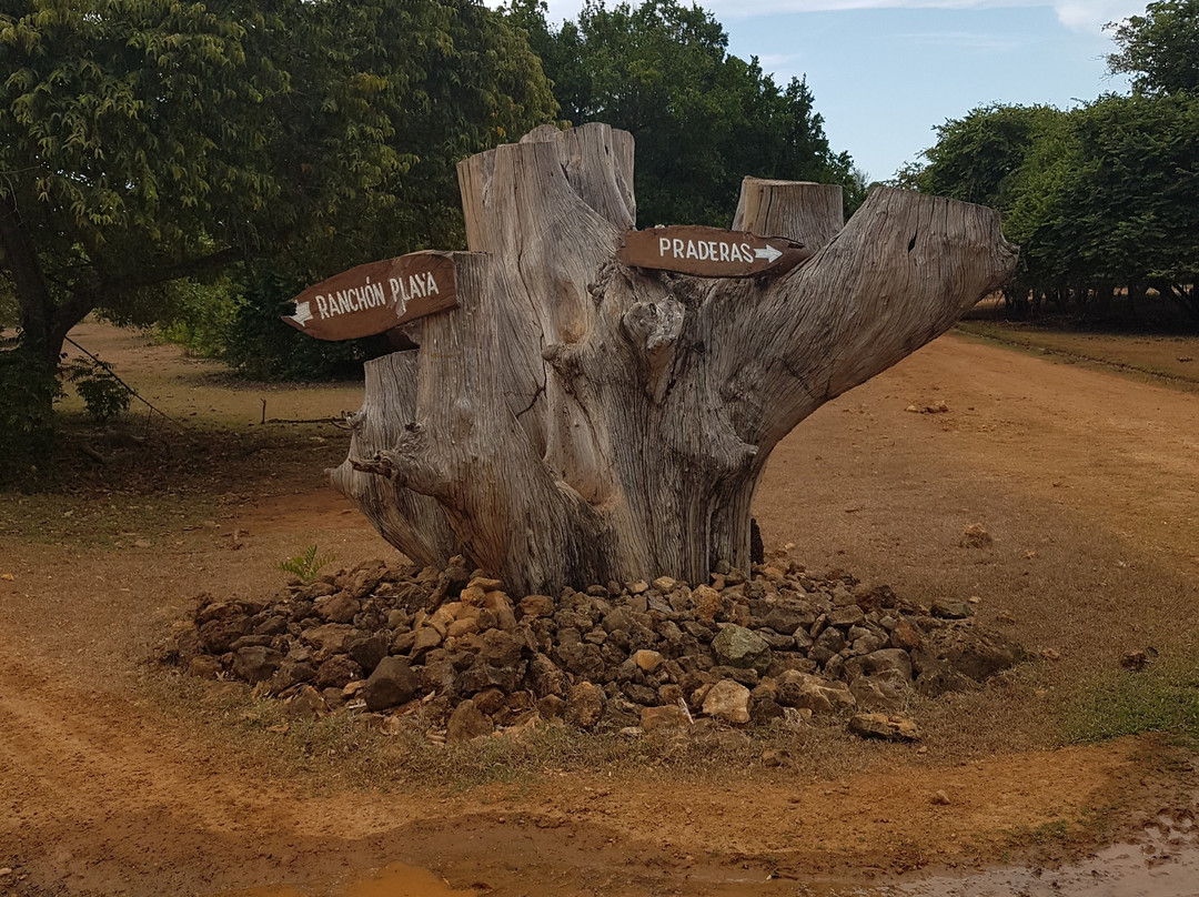 Villa Cayo Saetia主图