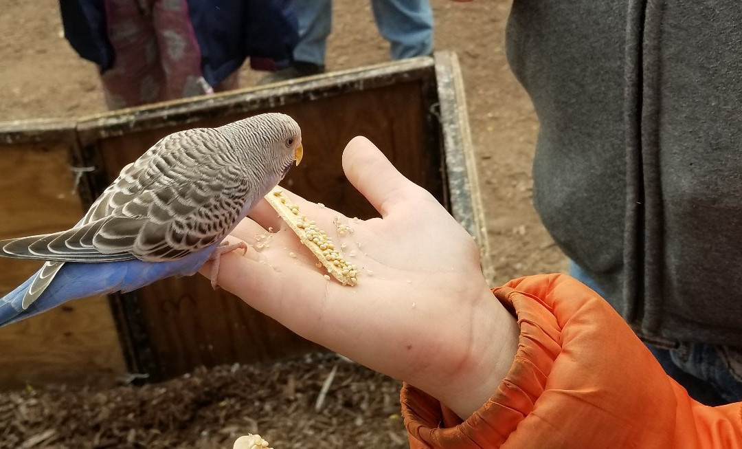 Goebbert's Pumpkin Patch-Hampshire必去景点
