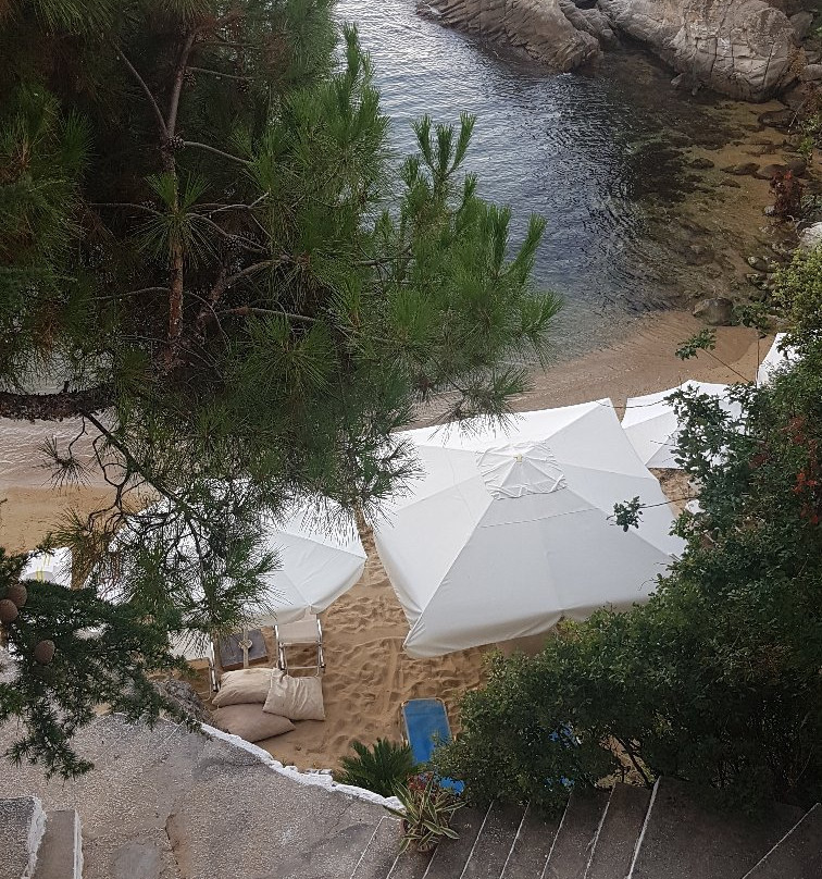 Villa Romantica Hotel主图