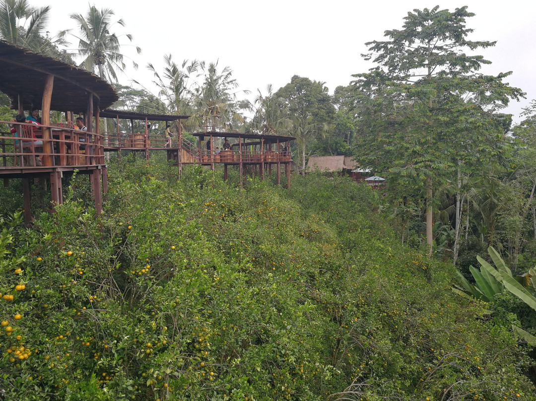 Bali Culture Tour - Private Tours-乌布必去景点