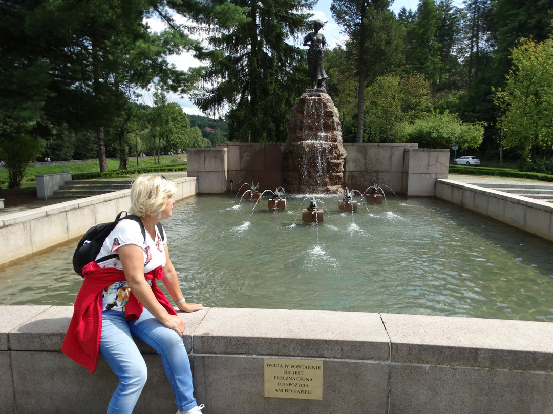 Zabytkowy Park Przygod i Pomnik Zrodel Wisly-Wisla必去景点