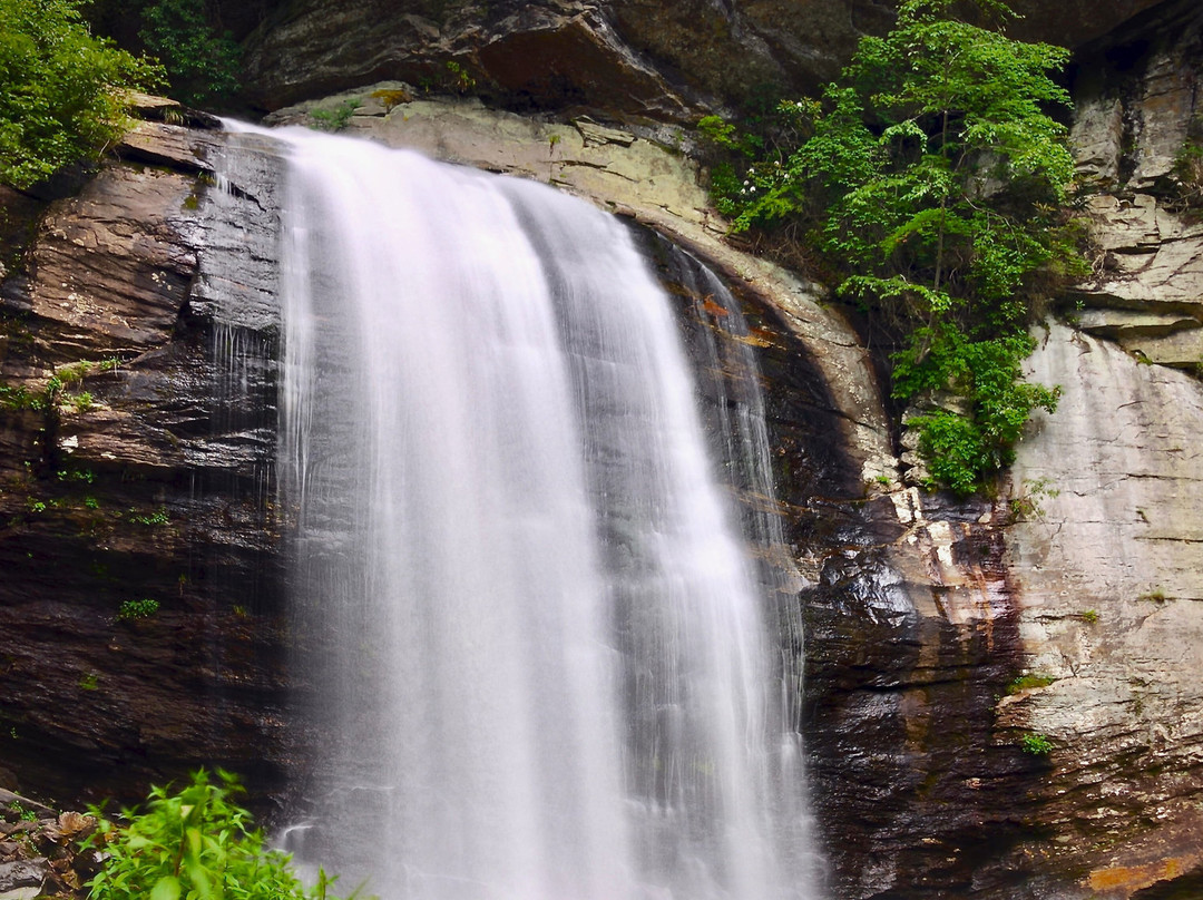 Comfort Inn & Suites主图