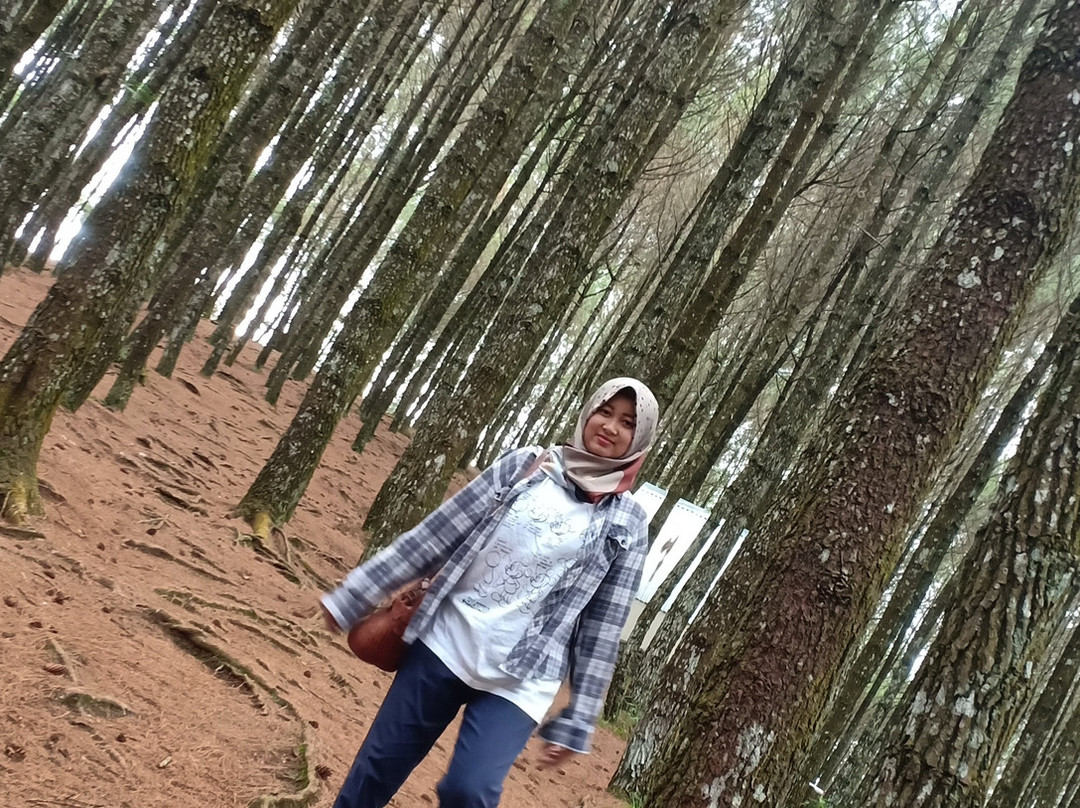 Moko Hill-万隆必去景点