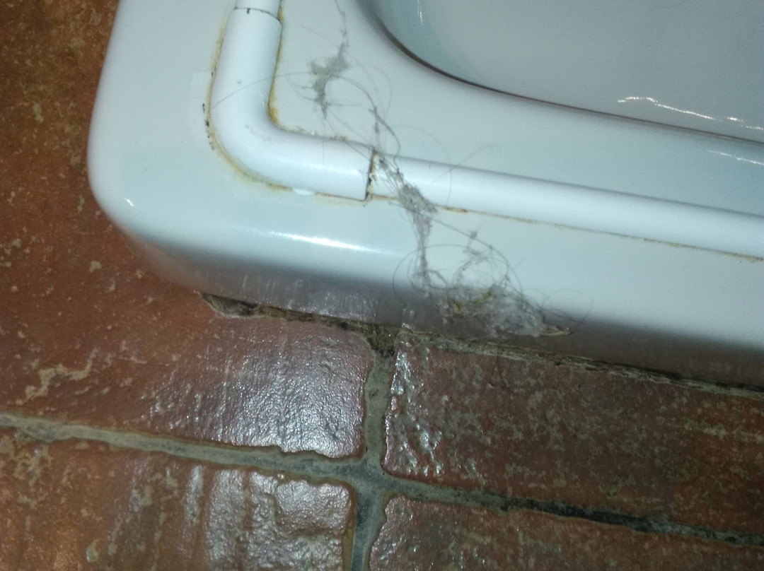 Eden Village Altura主图