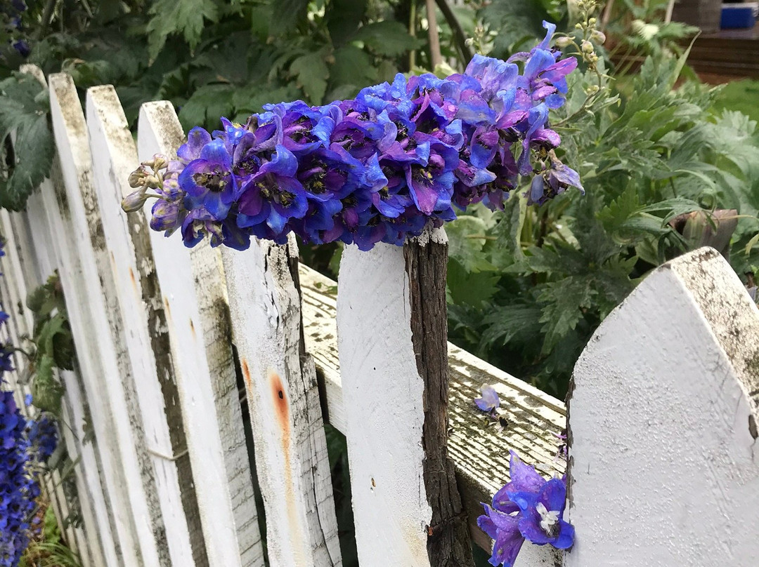 Skagway Museum and Archives-史凯威必去景点