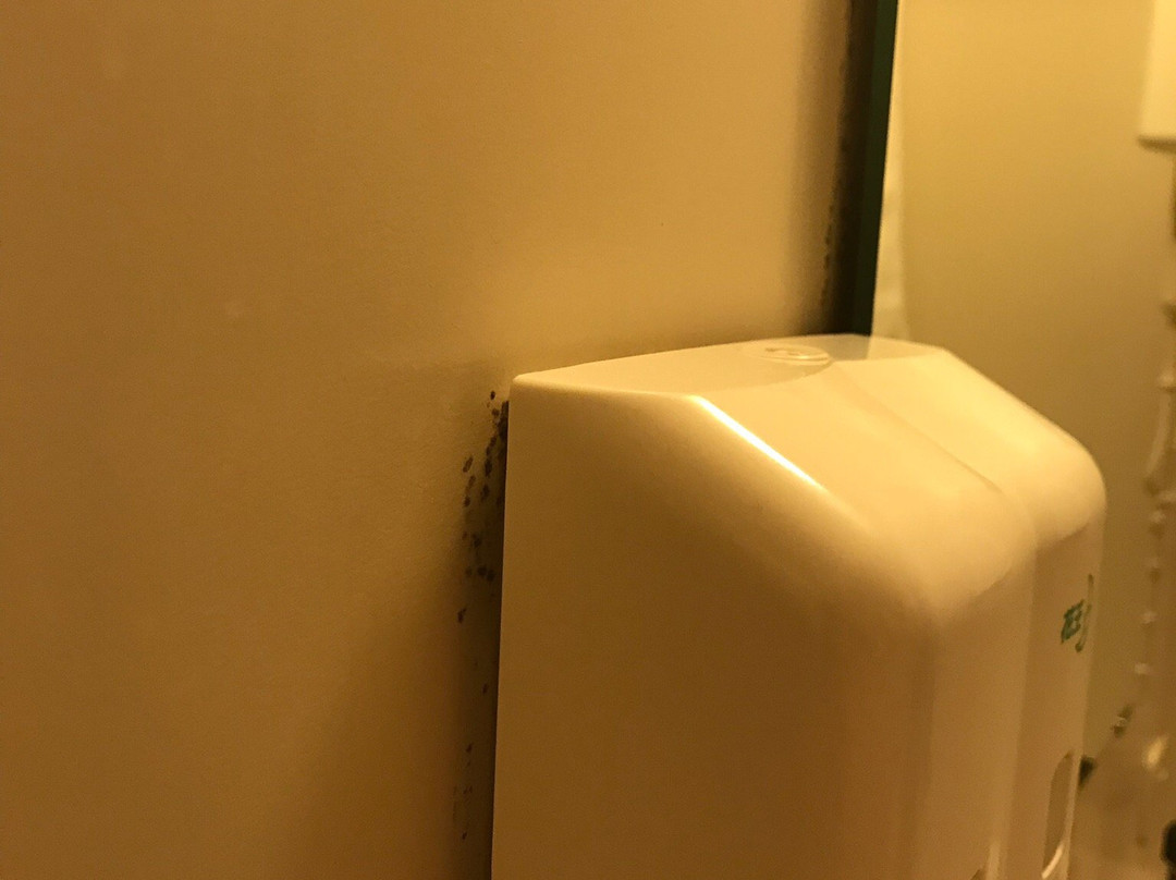 Hotel St Palace Kurayoshi主图