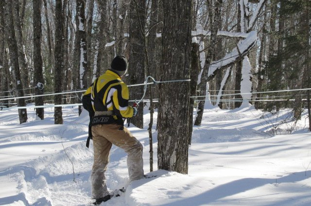 Sawyer's Maple Farm-Jackman必去景点