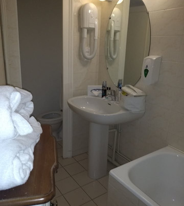 法兰西酒店主图