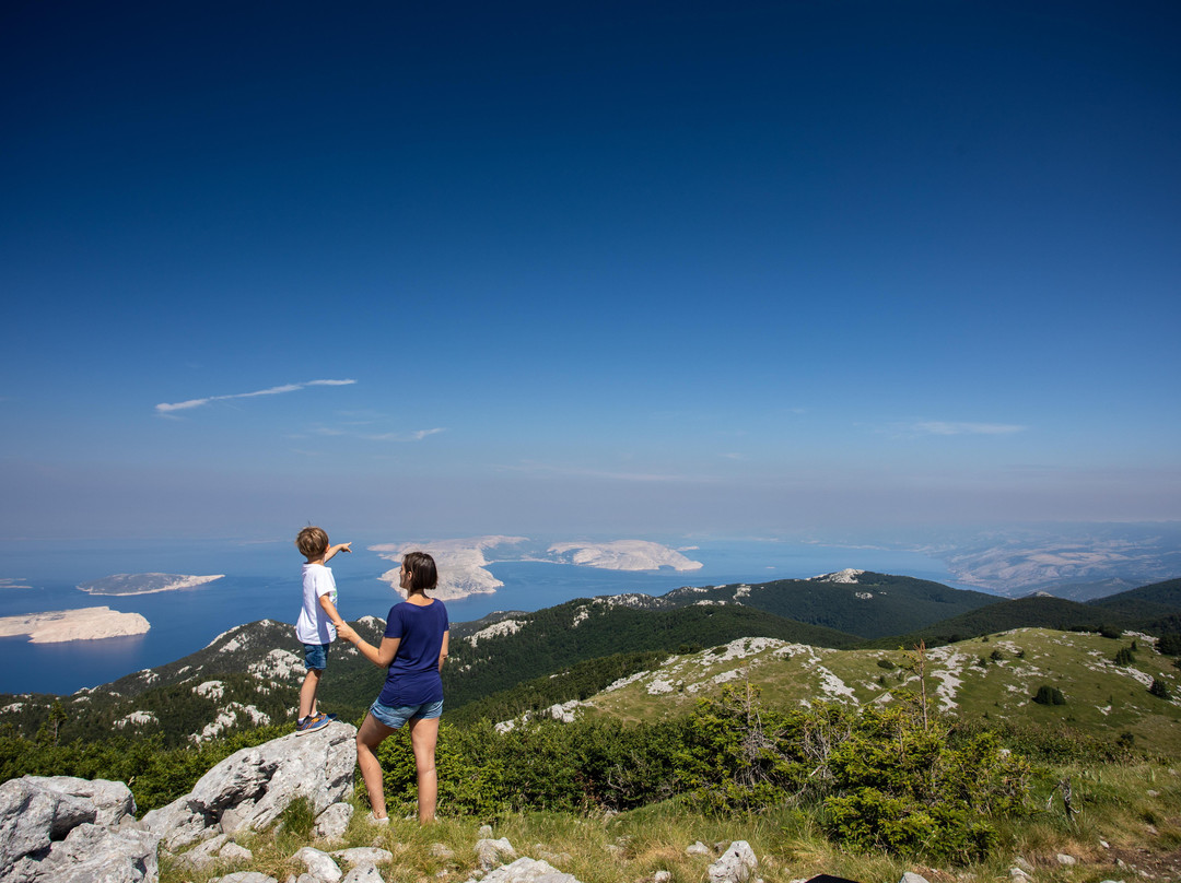 Enjoy Krk with Mare Tours