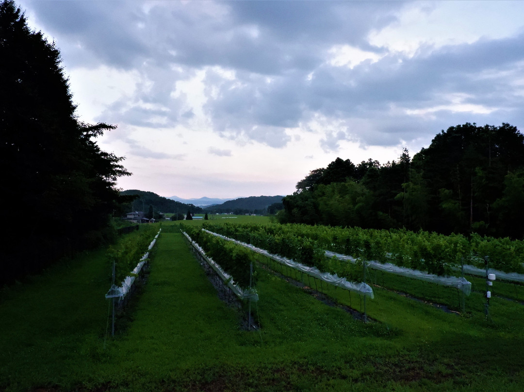 Fukushima Ouse Winery-郡山市必去景点