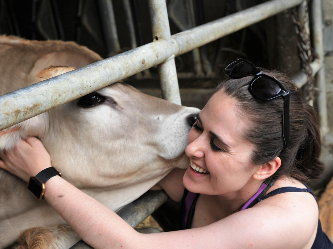 Talking Life Experiences-茵斯布鲁克必去景点
