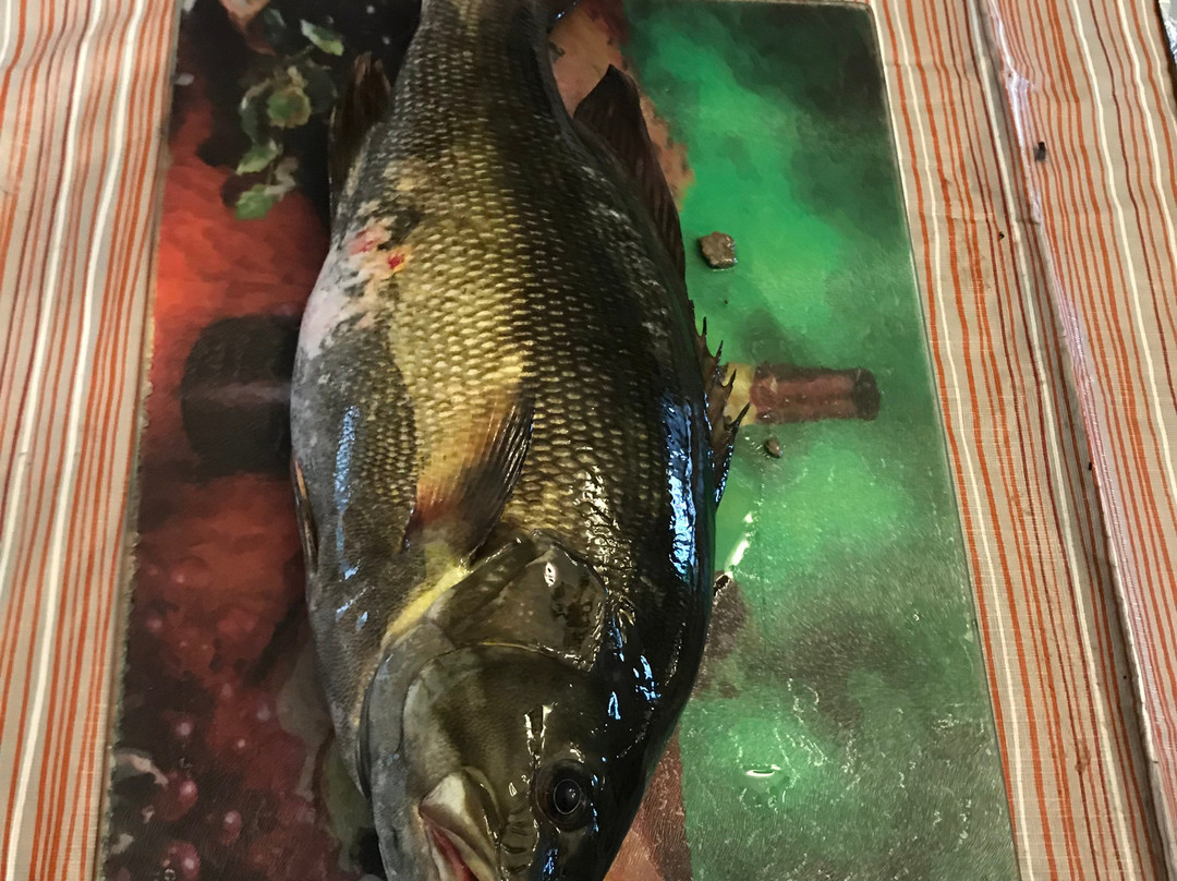 BAER Fishing Adventures景点图片