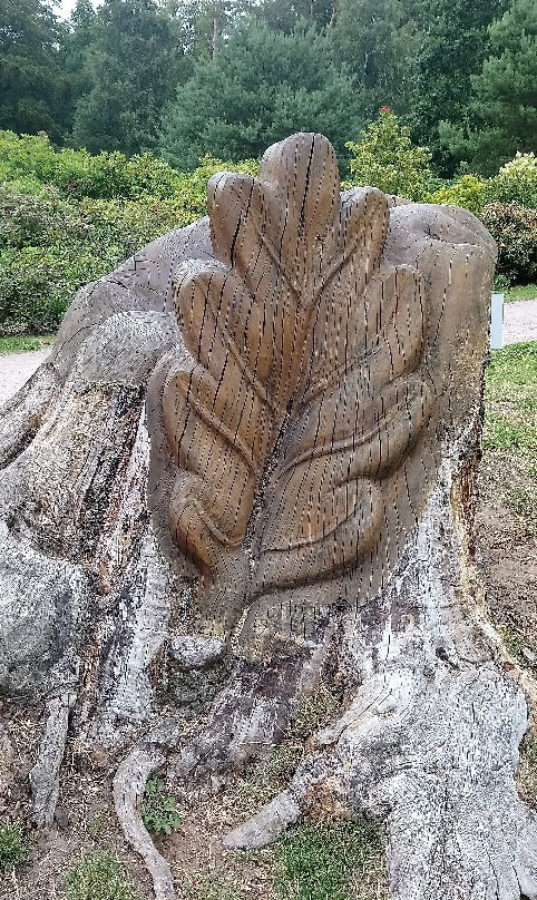 Rhododendronpark景点图片