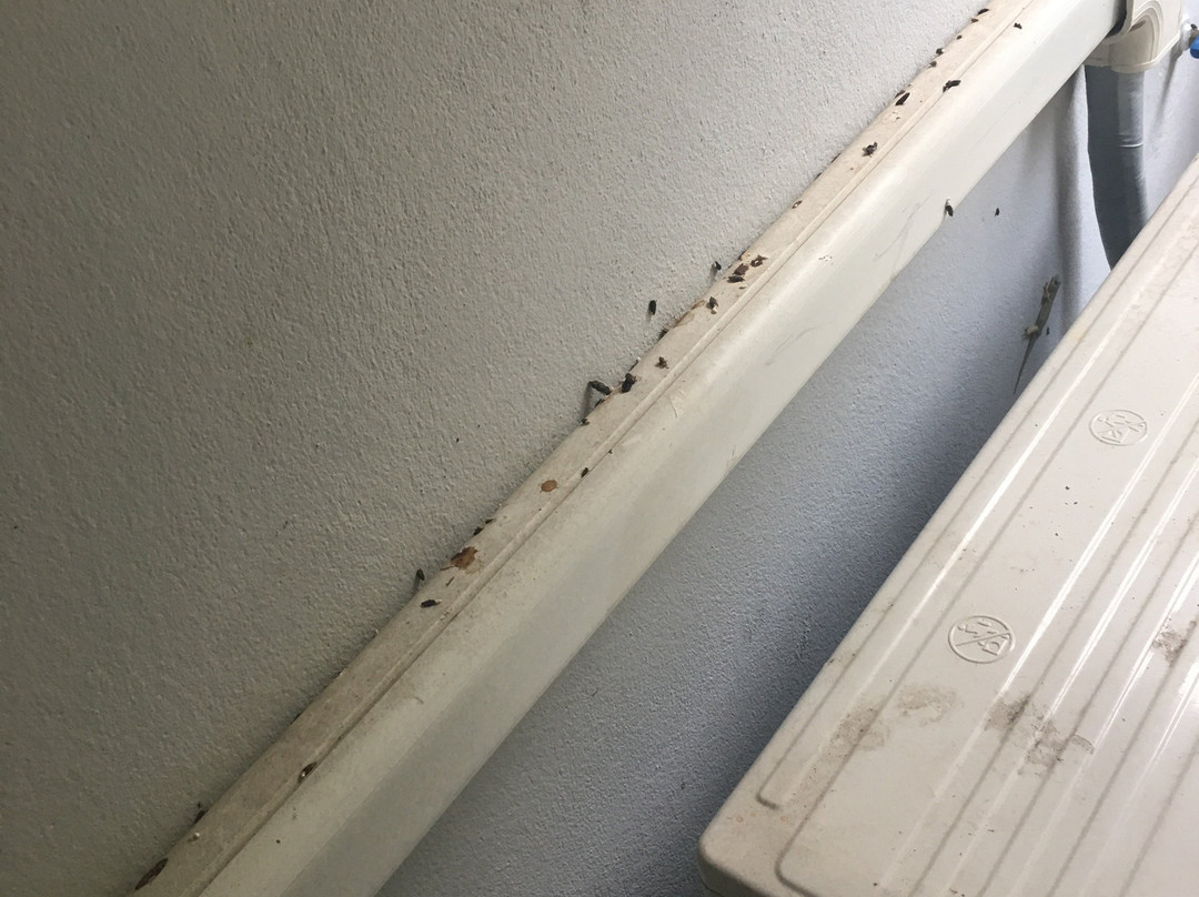 4Hearts Loft House主图