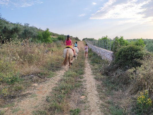 Horse Riding Alonaki景点图片