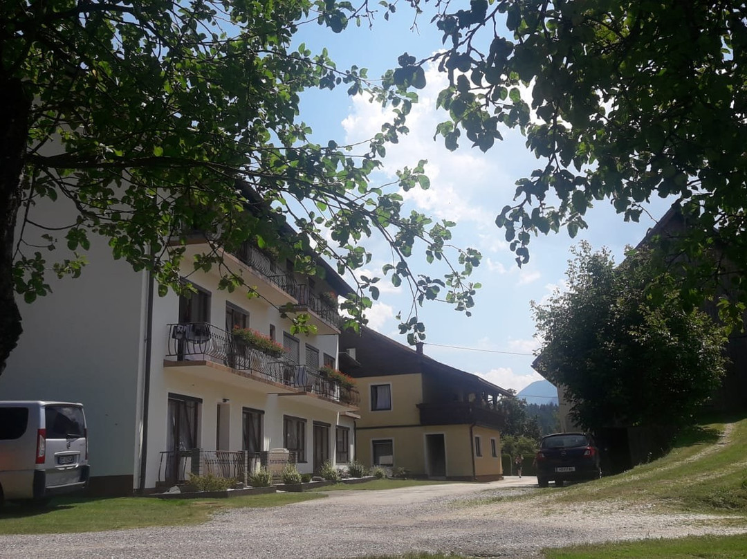 Pension Hribernig主图