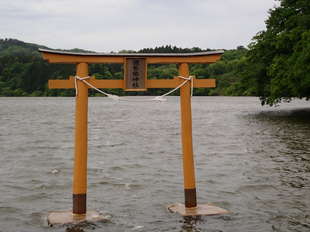 Ukinunoike Pond-大田市必去景点