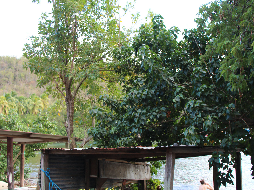 Anse a la Barque-Bouillante必去景点