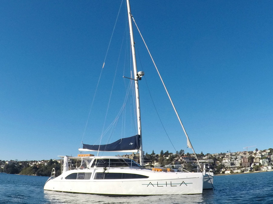Experience Sydney Harbour景点图片