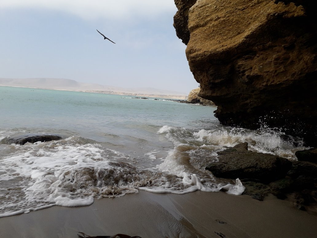 Playa El Raspon-帕拉卡斯必去景点