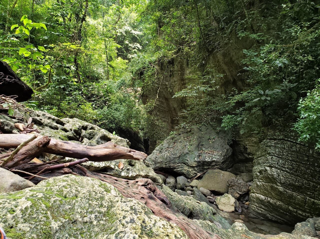 Cuevas De Bayano景点图片