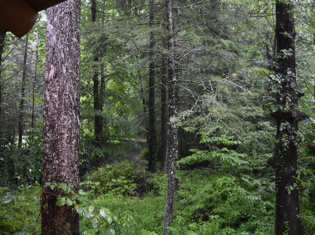 The Lodge at Smithgall Woods主图