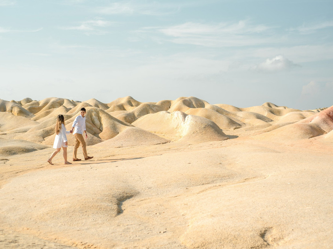 Bintan Piknik景点图片
