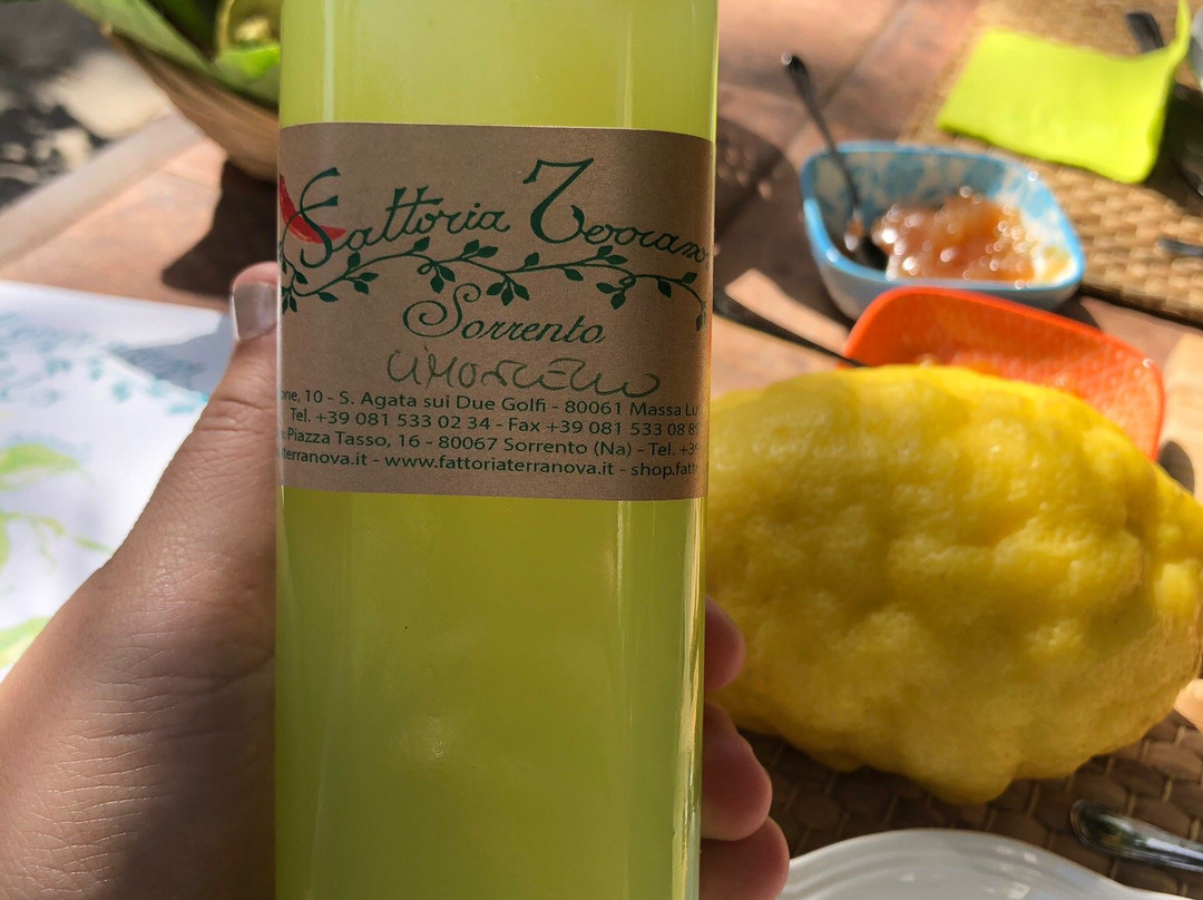 Vivaio Ruoppo - Sorrento Lemon Farm景点图片