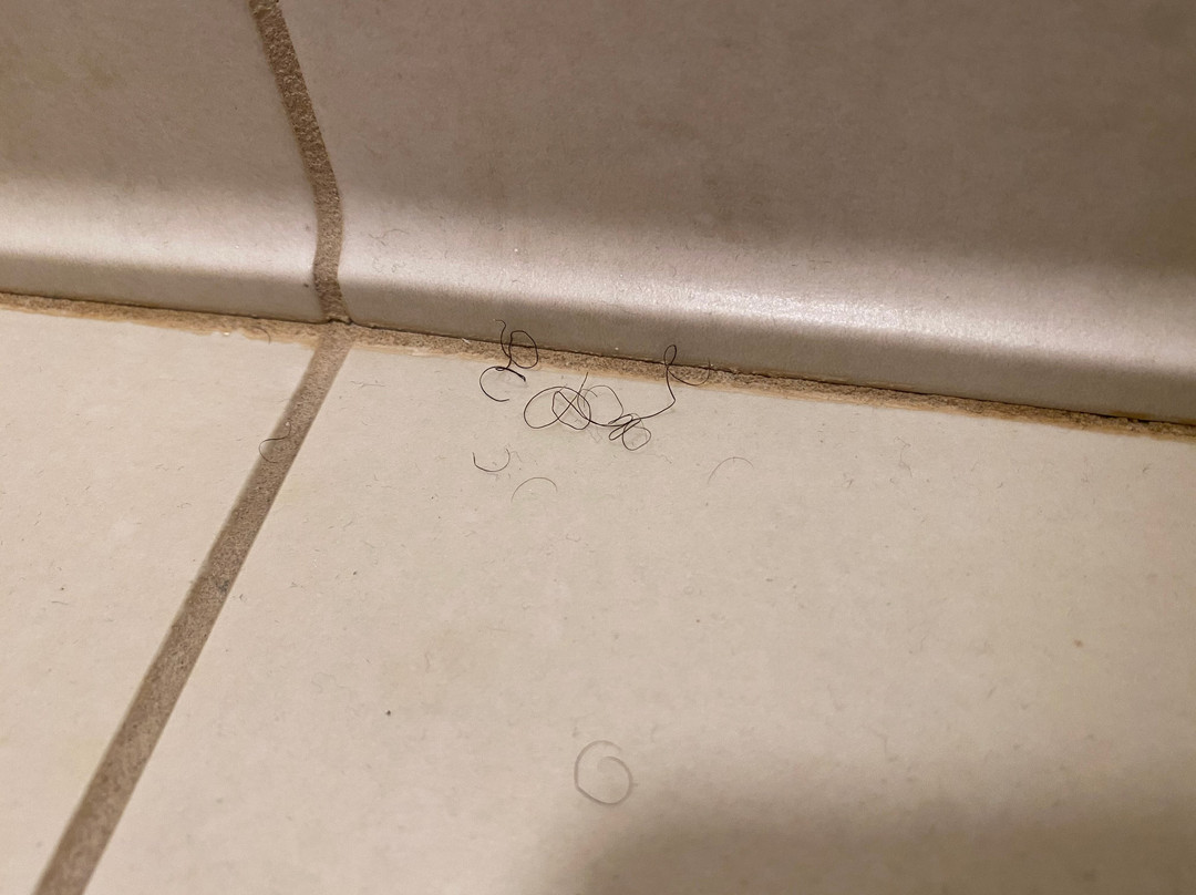 Residence Inn by Marriott North Little Rock主图