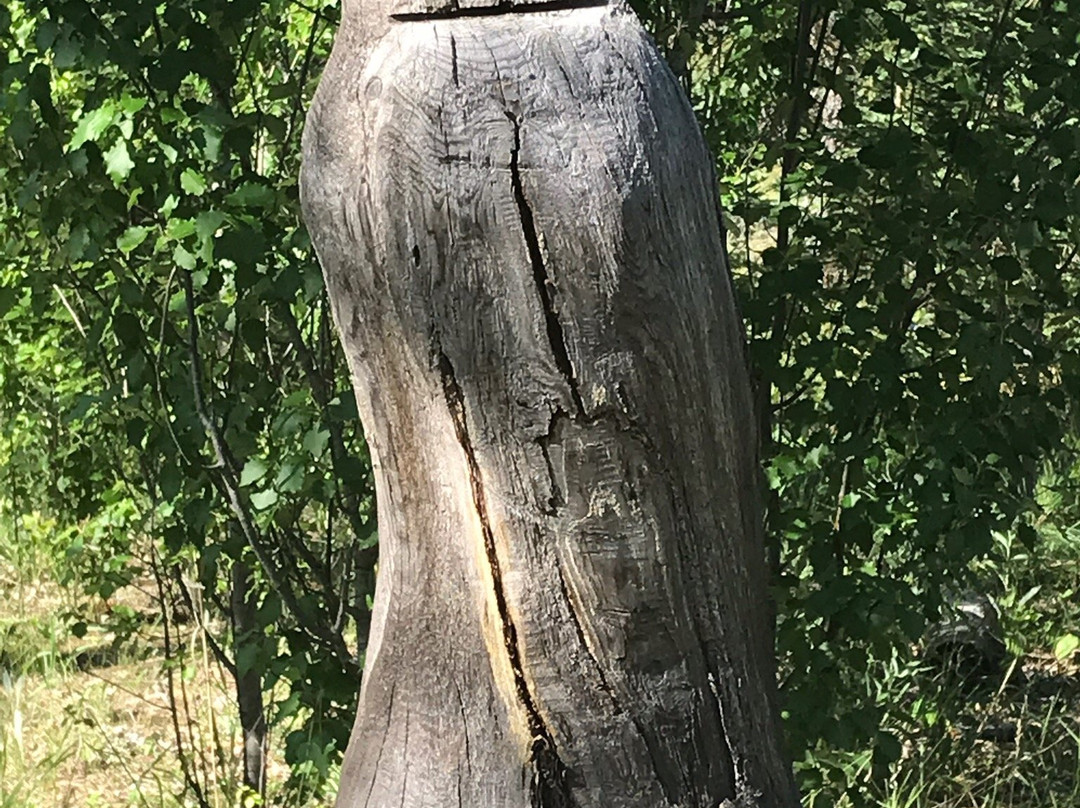 Sandilands Forest Discovery Centre-Hadashville必去景点