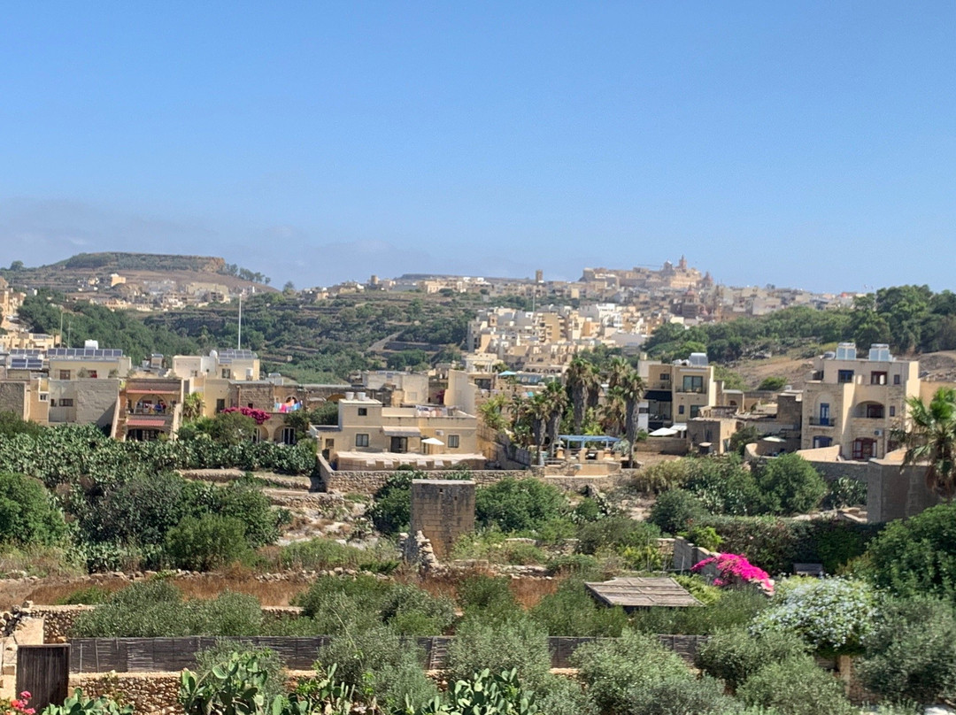 Arkati Literary B&B主图