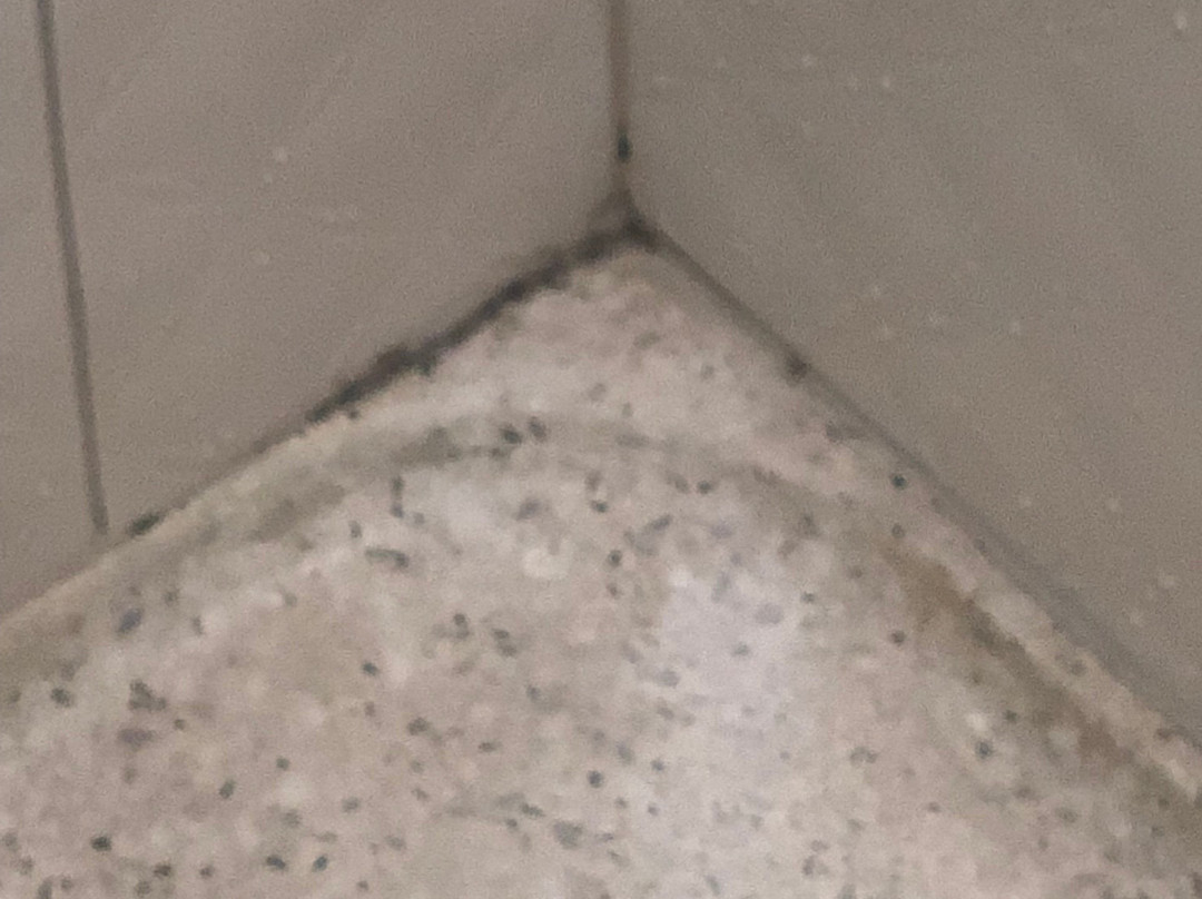 Hotel Indigo Naperville Riverwalk by IHG主图