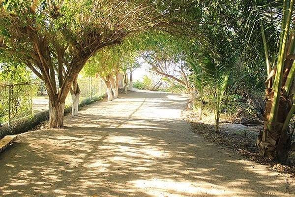 Villas Y Bungalows Tlaquepaque主图